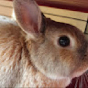 Meet your Posher, Jill